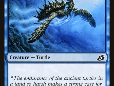 Aegis Turtle [Ikoria: Lair of Behemoths] Online Hot Sale