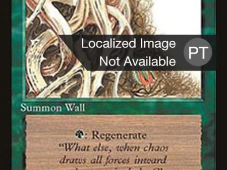 Wall of Brambles [Fourth Edition (Foreign Black Border)] Online now