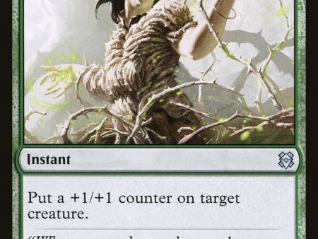 Vastwood Fortification    Vastwood Thicket [Zendikar Rising] Online Hot Sale