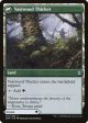 Vastwood Fortification    Vastwood Thicket [Zendikar Rising] Online Hot Sale