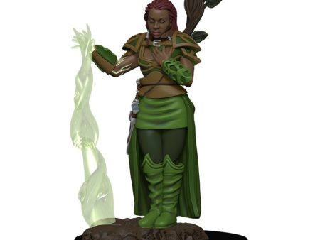 Human Druid Icons of the Realms Premium Miniatures For Cheap